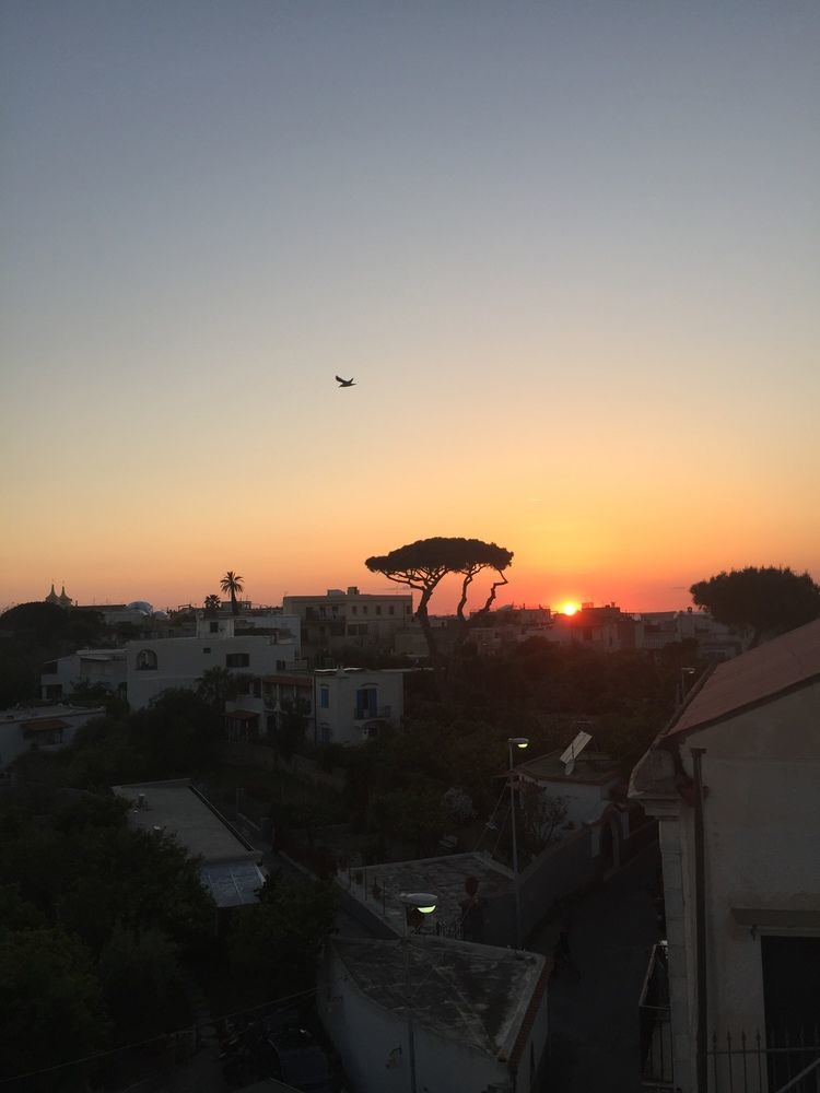 Ring Hostel Forio di Ischia Екстериор снимка